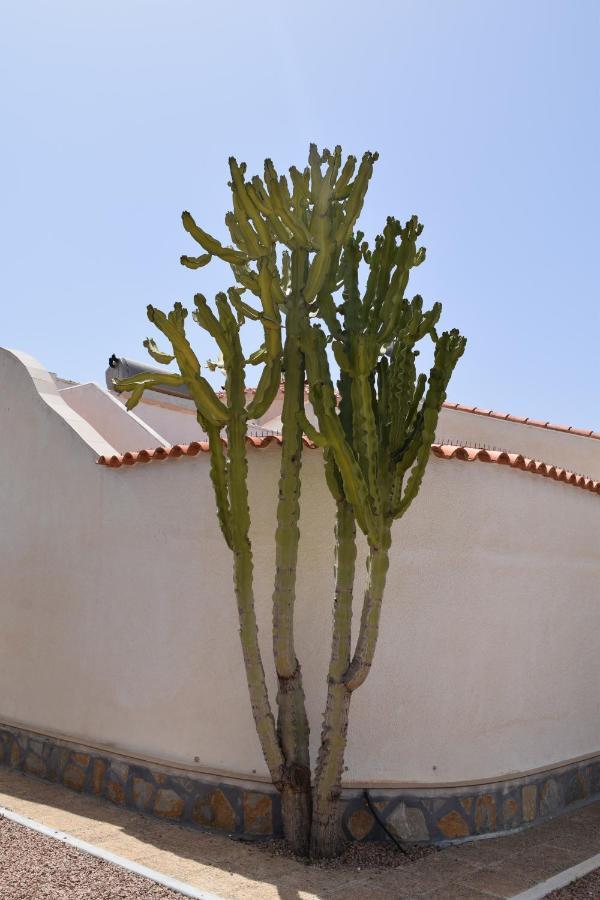Hébergement de vacances Casa El Flamenco Zoutmeer