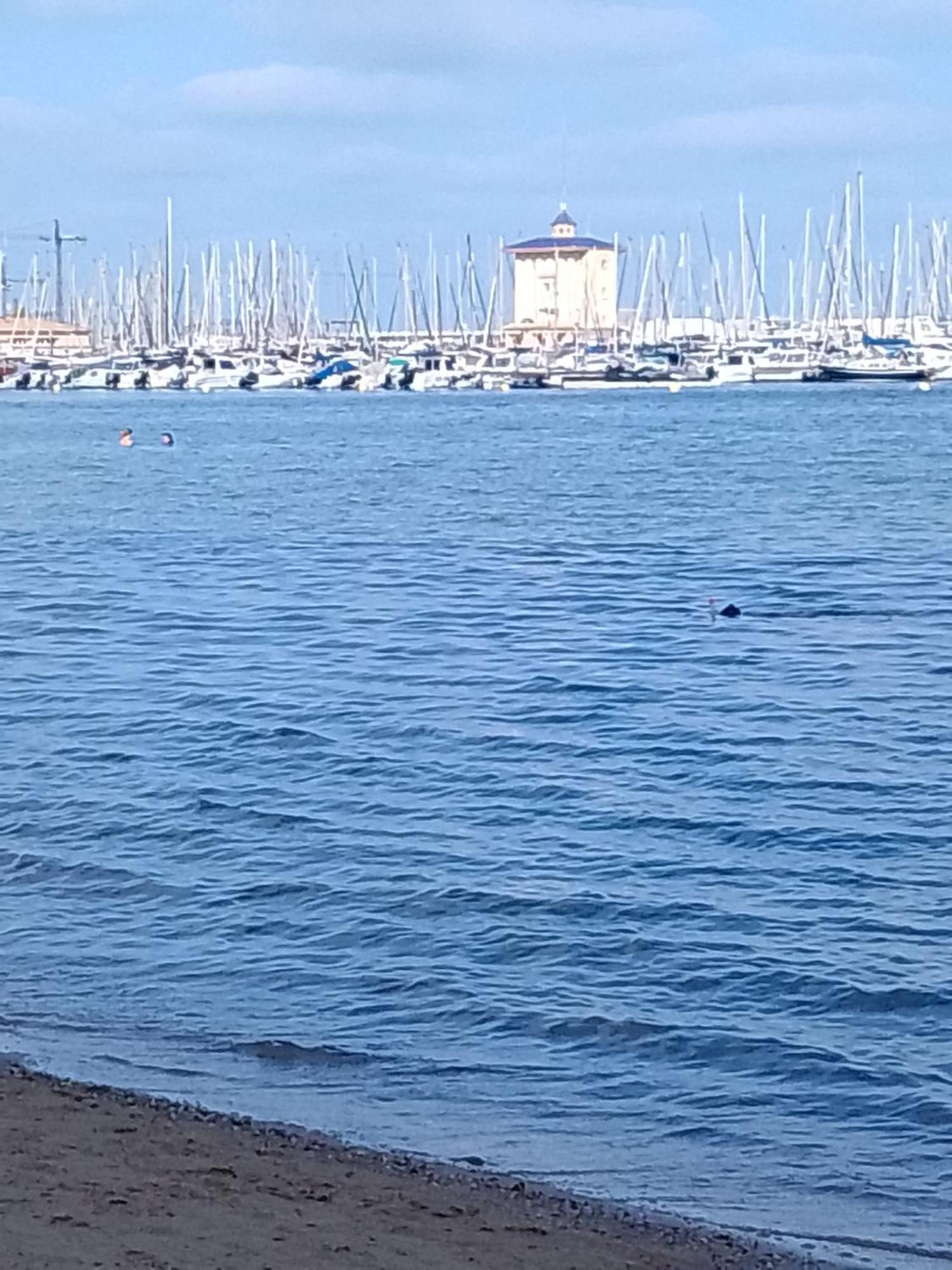 Hébergement de vacances Casa El Flamenco Zoutmeer