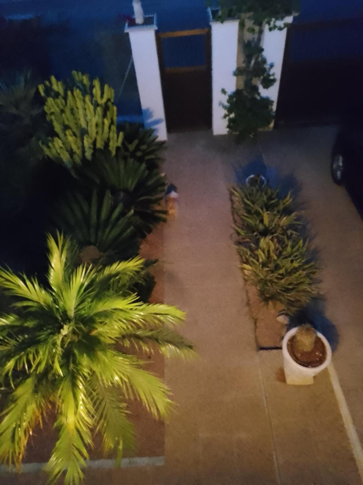 Casa El Flamenco Zoutmeer Hébergement de vacances *
