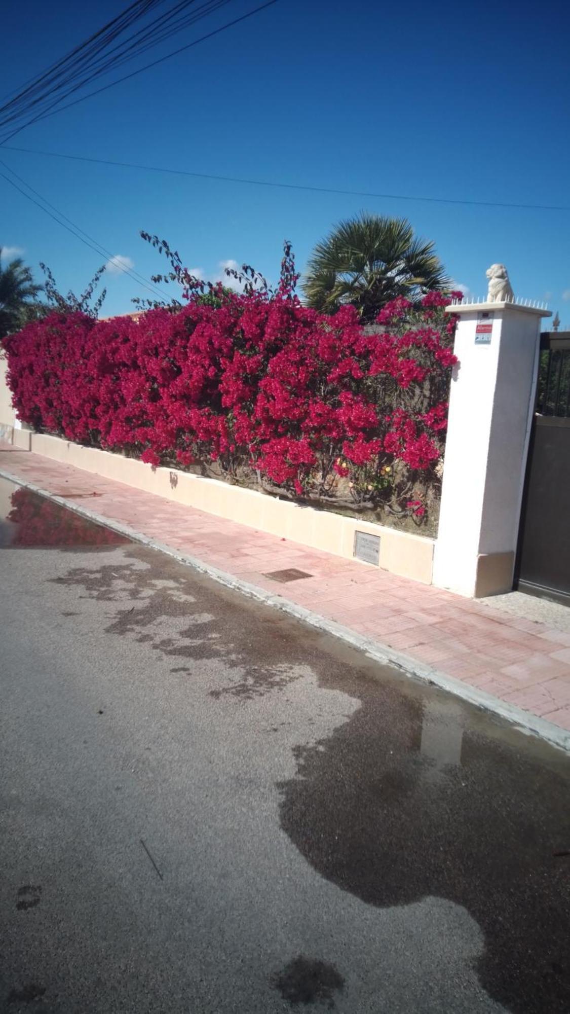 Casa El Flamenco Zoutmeer Torrevieja
